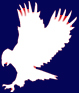 PFF Club footer logo
